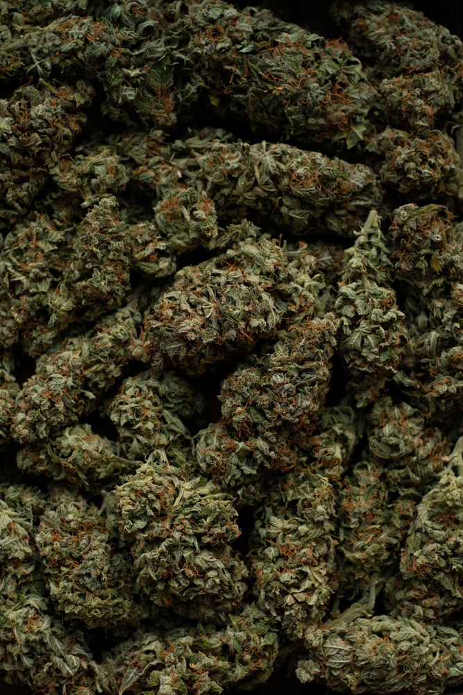 Sour Trop Cherry